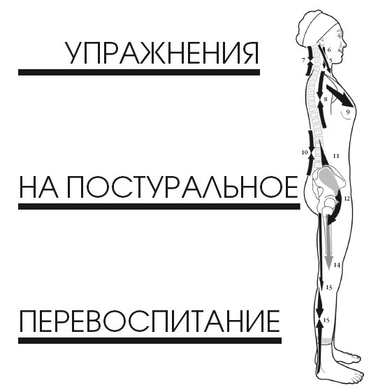 Диагностика и лечение позвоночника. Уникальная система доктора А. М. Уриа Диагностика и лечение позвоночника. Уникальная система доктора А. М. Уриа