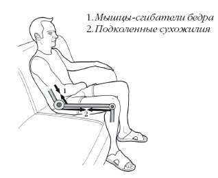 Диагностика и лечение позвоночника. Уникальная система доктора А. М. Уриа Диагностика и лечение позвоночника. Уникальная система доктора А. М. Уриа