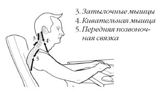Диагностика и лечение позвоночника. Уникальная система доктора А. М. Уриа Диагностика и лечение позвоночника. Уникальная система доктора А. М. Уриа