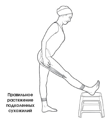 Диагностика и лечение позвоночника. Уникальная система доктора А. М. Уриа Диагностика и лечение позвоночника. Уникальная система доктора А. М. Уриа