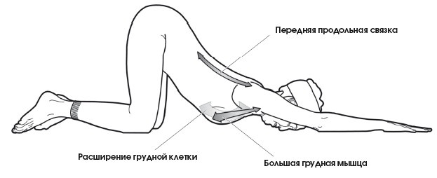Диагностика и лечение позвоночника. Уникальная система доктора А. М. Уриа Диагностика и лечение позвоночника. Уникальная система доктора А. М. Уриа