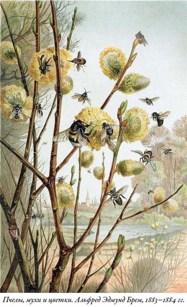 Будущее Земли. Наша планета в борьбе за жизнь