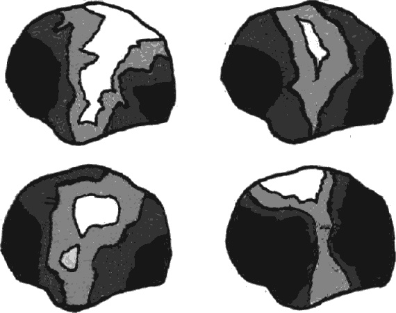 Голографическая Вселенная. Новая теория реальности Голографическая Вселенная. Новая теория реальности