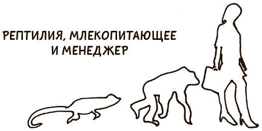 Я хочу больше идей. Более 100 техник и упражнений для развития творческого мышления Я хочу больше идей. Более 100 техник и упражнений для развития творческого мышления