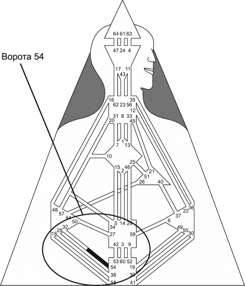 Новый дизайн счастливого человека. Как понять, кто ты на самом деле Новый дизайн счастливого человека. Как понять, кто ты на самом деле