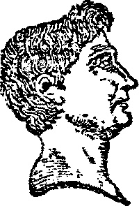 Римская республика. От семи царей до республиканского правления Римская республика. От семи царей до республиканского правления