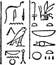 Египтяне. От древней цивилизации до наших дней Египтяне. От древней цивилизации до наших дней