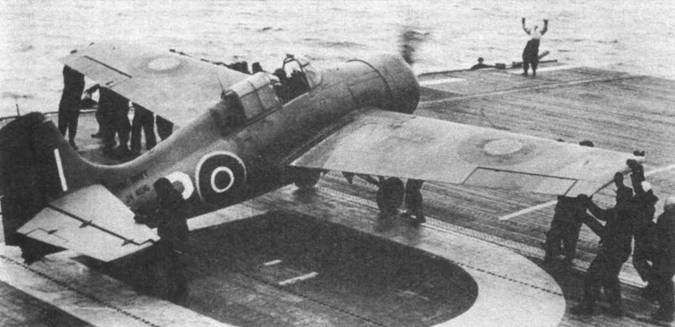 Grumman Wildcat Grumman Wildcat