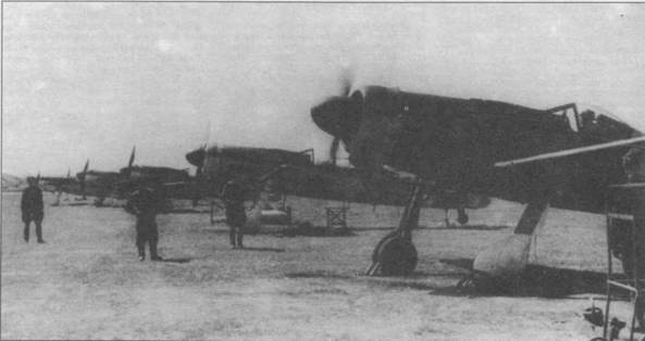 Focke Wulf Fw 190D Ta 15 Focke Wulf Fw 190D Ta 15