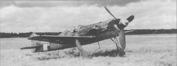 Focke Wulf Fw 190D Ta 15 Focke Wulf Fw 190D Ta 15