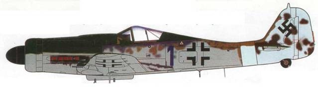 Focke Wulf Fw 190D Ta 15 Focke Wulf Fw 190D Ta 15