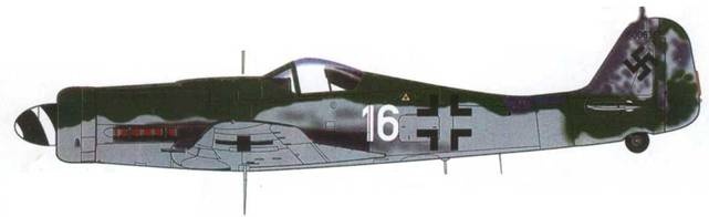 Focke Wulf Fw 190D Ta 15 Focke Wulf Fw 190D Ta 15