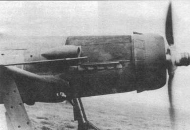 Focke Wulf Fw 190D Ta 15 Focke Wulf Fw 190D Ta 15