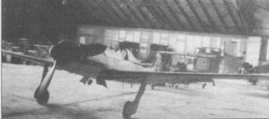Focke Wulf Fw 190D Ta 15 Focke Wulf Fw 190D Ta 15
