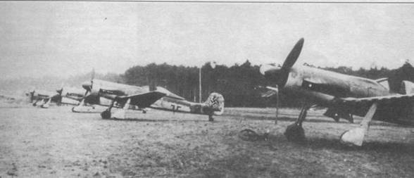 Focke Wulf Fw 190D Ta 15 Focke Wulf Fw 190D Ta 15