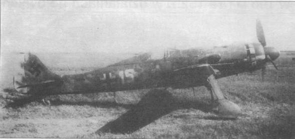 Focke Wulf Fw 190D Ta 15 Focke Wulf Fw 190D Ta 15