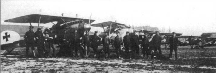 Боевое применение германских истребителей Albatros в Первой мировой войне Боевое применение германских истребителей Albatros в Первой мировой войне