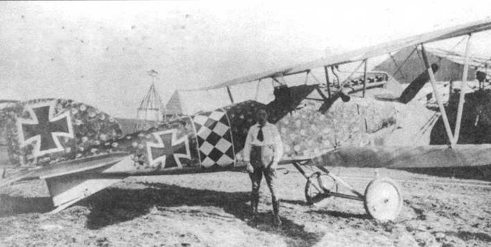 Боевое применение германских истребителей Albatros в Первой мировой войне Боевое применение германских истребителей Albatros в Первой мировой войне