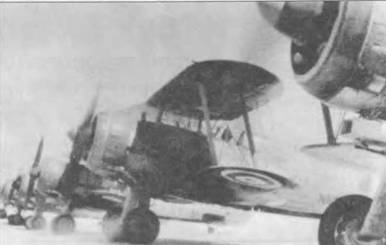 Gloster Gladiator Gloster Gladiator
