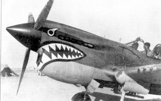 Curtiss P-40. Часть 4 Curtiss P-40. Часть 4