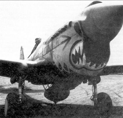 Curtiss P-40. Часть 4 Curtiss P-40. Часть 4