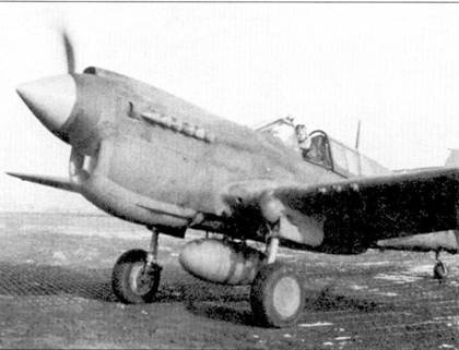 Curtiss P-40. Часть 4 Curtiss P-40. Часть 4