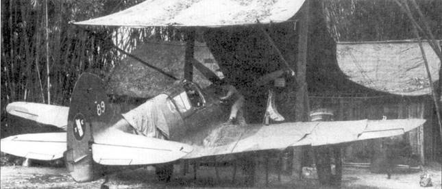 Curtiss P-40. Часть 4 Curtiss P-40. Часть 4
