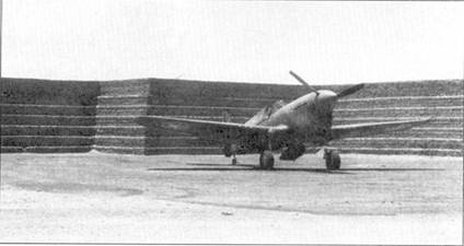Curtiss P-40. Часть 4 Curtiss P-40. Часть 4