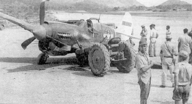 Curtiss P-40. Часть 4 Curtiss P-40. Часть 4