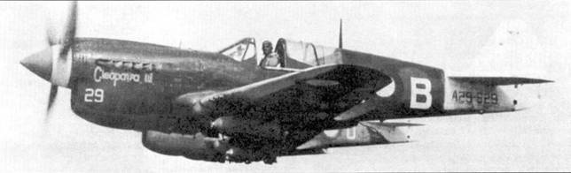 Curtiss P-40. Часть 4 Curtiss P-40. Часть 4