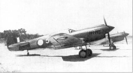 Curtiss P-40. Часть 4 Curtiss P-40. Часть 4