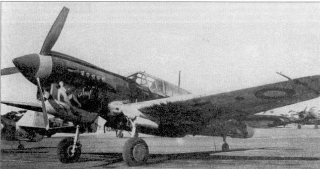 Curtiss P-40. Часть 4 Curtiss P-40. Часть 4