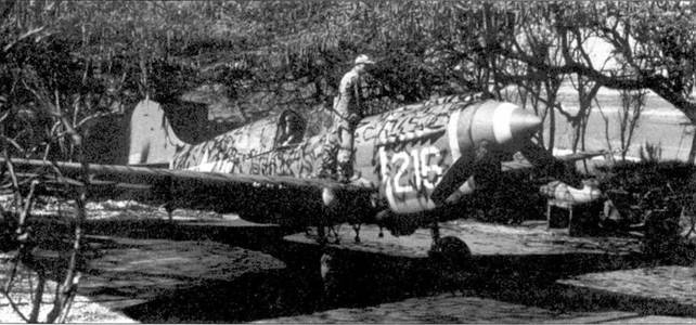 Curtiss P-40. Часть 4 Curtiss P-40. Часть 4