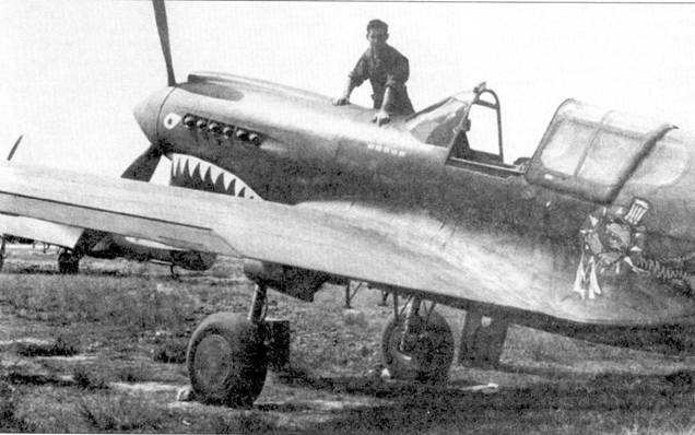 Curtiss P-40. Часть 4 Curtiss P-40. Часть 4