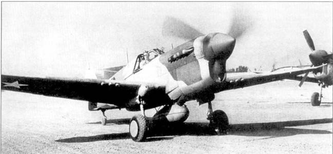 Curtiss P-40. Часть 3 Curtiss P-40. Часть 3