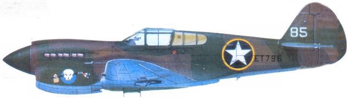 Curtiss P-40. Часть Curtiss P-40. Часть