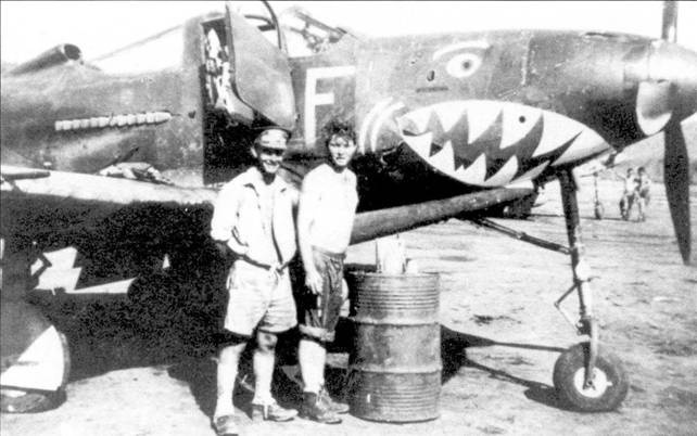 Боевое применение Р-39 Airacobra Боевое применение Р-39 Airacobra