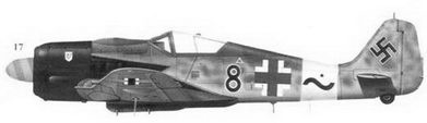 Асы люфтваффе пилоты Fw 190 на Западном фронте Асы люфтваффе пилоты Fw 190 на Западном фронте