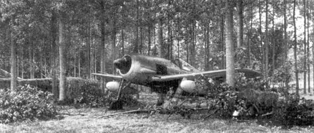 Асы люфтваффе пилоты Fw 190 на Западном фронте Асы люфтваффе пилоты Fw 190 на Западном фронте