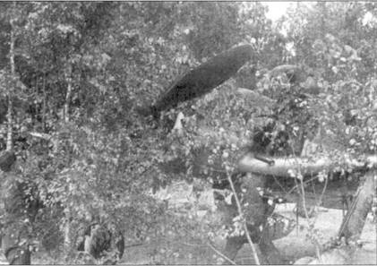 Асы люфтваффе пилоты Fw 190 на Западном фронте Асы люфтваффе пилоты Fw 190 на Западном фронте