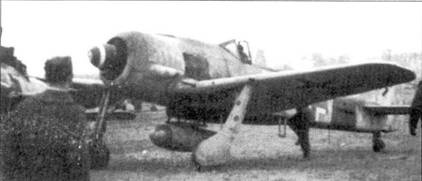 Асы люфтваффе пилоты Fw 190 на Западном фронте Асы люфтваффе пилоты Fw 190 на Западном фронте