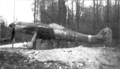 Асы люфтваффе пилоты Fw 190 на Западном фронте Асы люфтваффе пилоты Fw 190 на Западном фронте