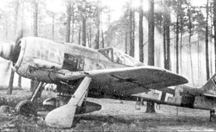 Асы люфтваффе пилоты Fw 190 на Западном фронте Асы люфтваффе пилоты Fw 190 на Западном фронте