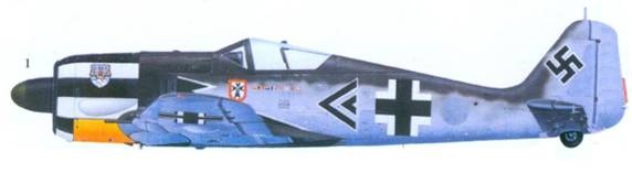 Асы люфтваффе пилоты Fw 190 на Западном фронте Асы люфтваффе пилоты Fw 190 на Западном фронте