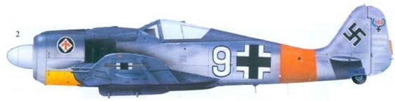 Асы люфтваффе пилоты Fw 190 на Западном фронте Асы люфтваффе пилоты Fw 190 на Западном фронте