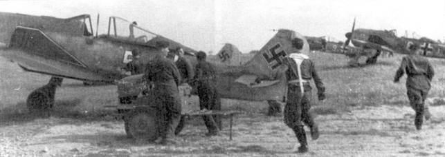 Асы люфтваффе пилоты Fw 190 на Западном фронте Асы люфтваффе пилоты Fw 190 на Западном фронте