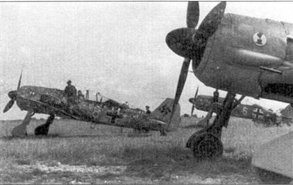 Асы люфтваффе пилоты Fw 190 на Западном фронте Асы люфтваффе пилоты Fw 190 на Западном фронте