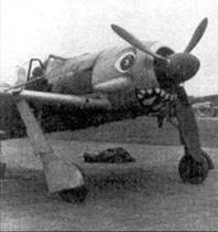 Асы люфтваффе пилоты Fw 190 на Западном фронте Асы люфтваффе пилоты Fw 190 на Западном фронте