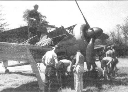 Асы люфтваффе пилоты Fw 190 на Западном фронте Асы люфтваффе пилоты Fw 190 на Западном фронте