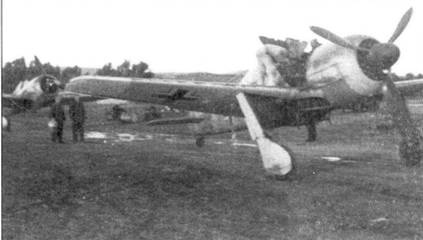 Асы люфтваффе пилоты Fw 190 на Западном фронте Асы люфтваффе пилоты Fw 190 на Западном фронте